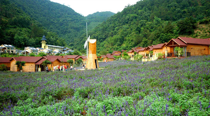 盤龍峽生態(tài)旅游區(qū)木屋旅游規(guī)劃采用大面積玻璃窗